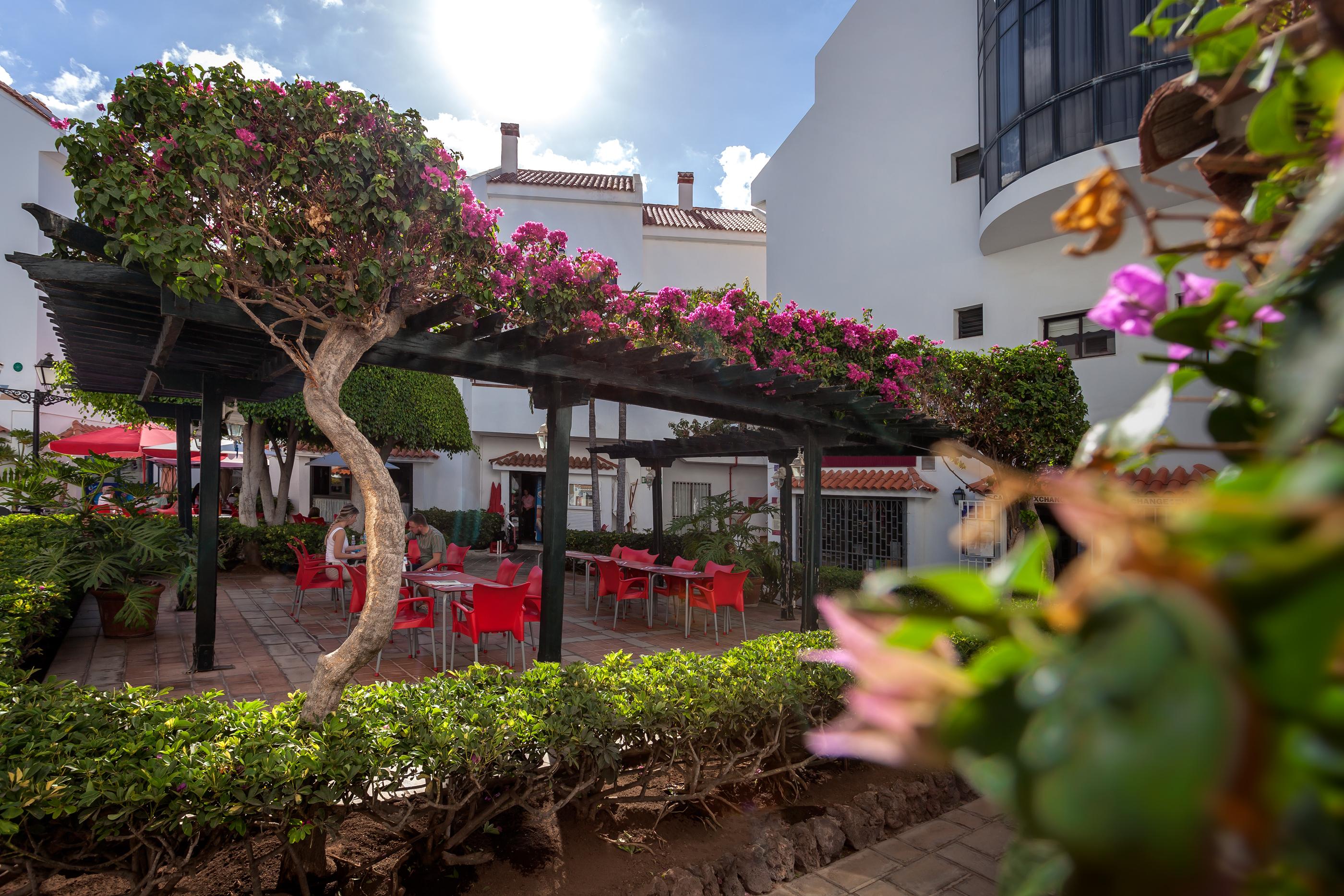Apartamentos Hg Cristian Sur Los Cristianos  Luaran gambar